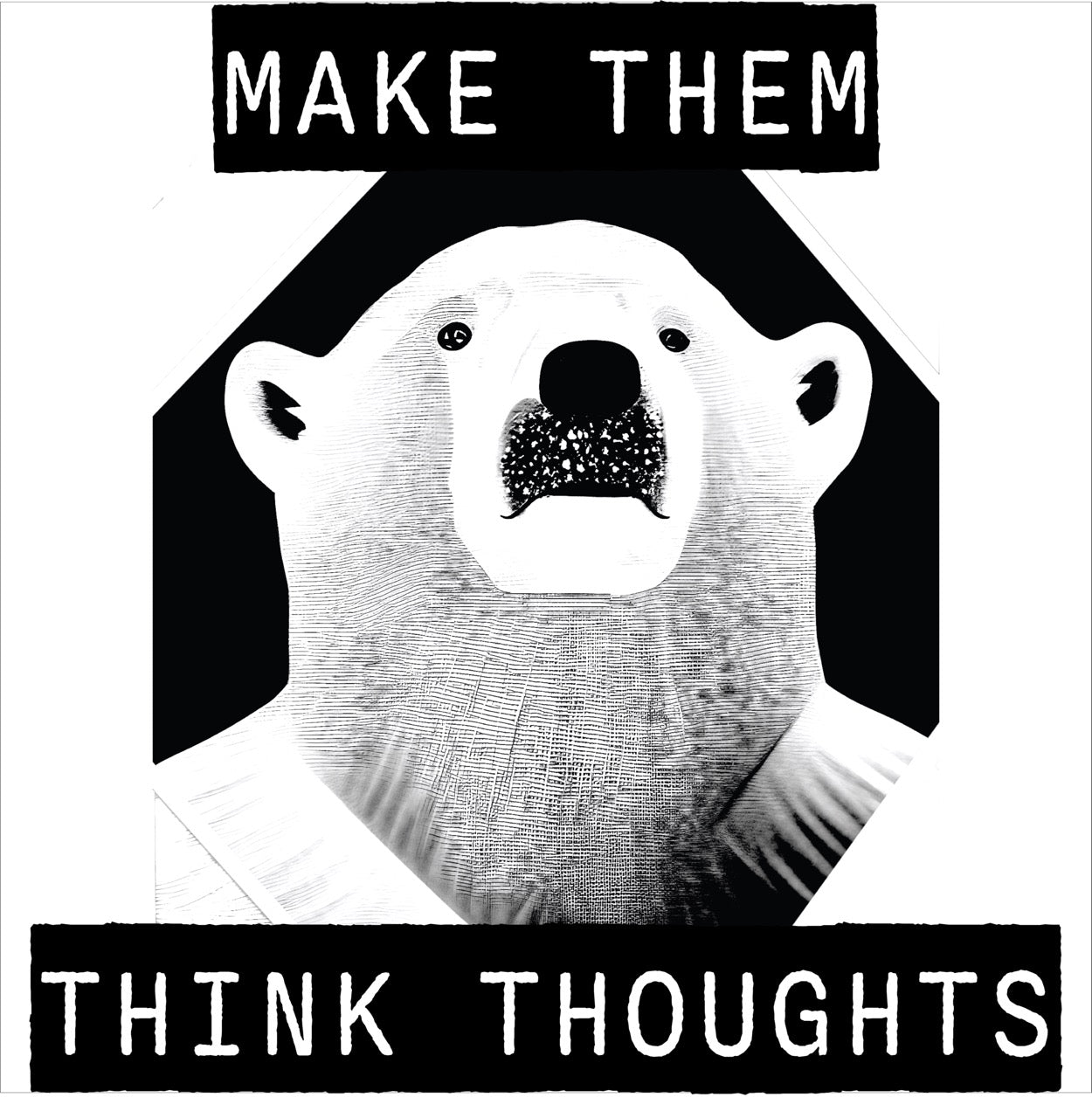 MAKE THEM THINK THOUGHTS