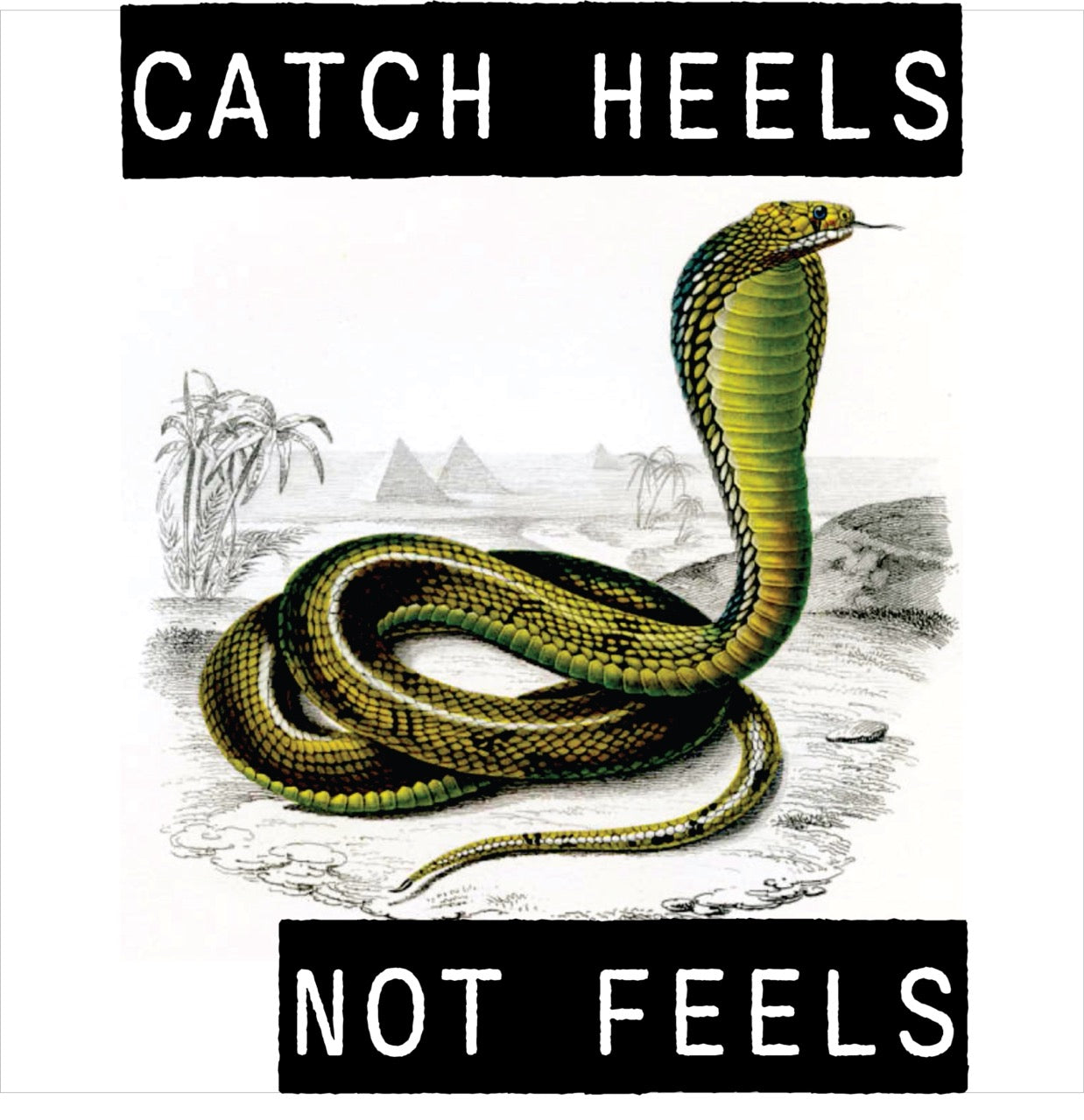 CATCH HEELS NOT FEELS